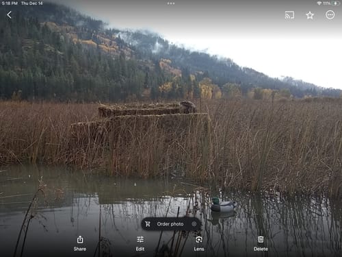 Customer photo review of Hunting Blind Raffia Grass (Individual)