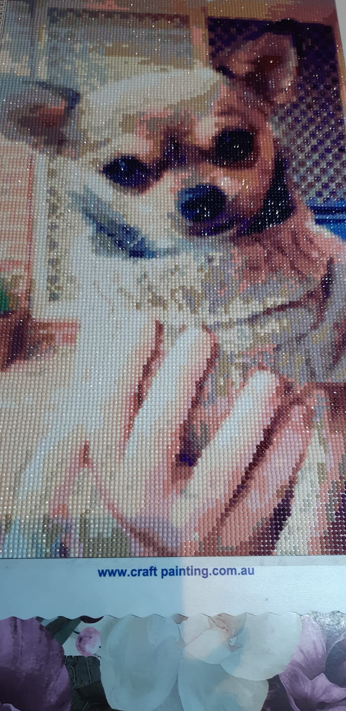 Customer photo review of Custom Diamond Painting