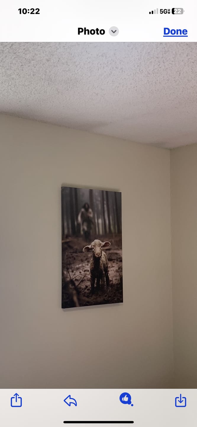 Customer photo review of Jesus Lamb of God, Jesus Running After Lamb, Wall Art Canvas