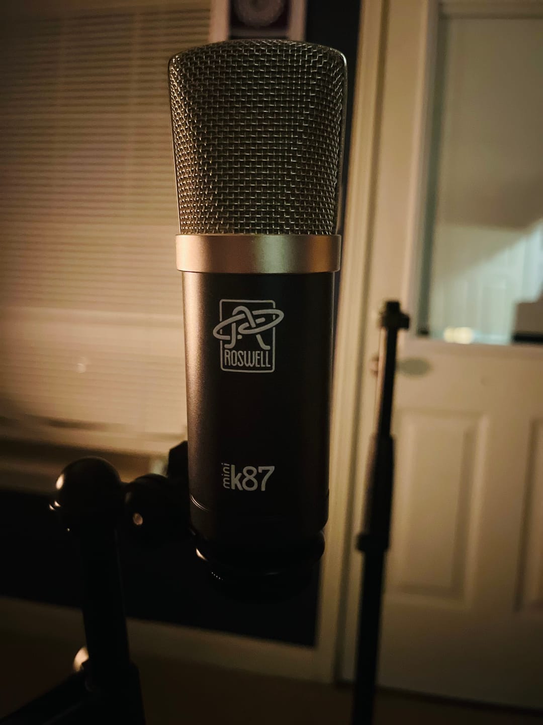 Customer photo review of LC Edition Microphones