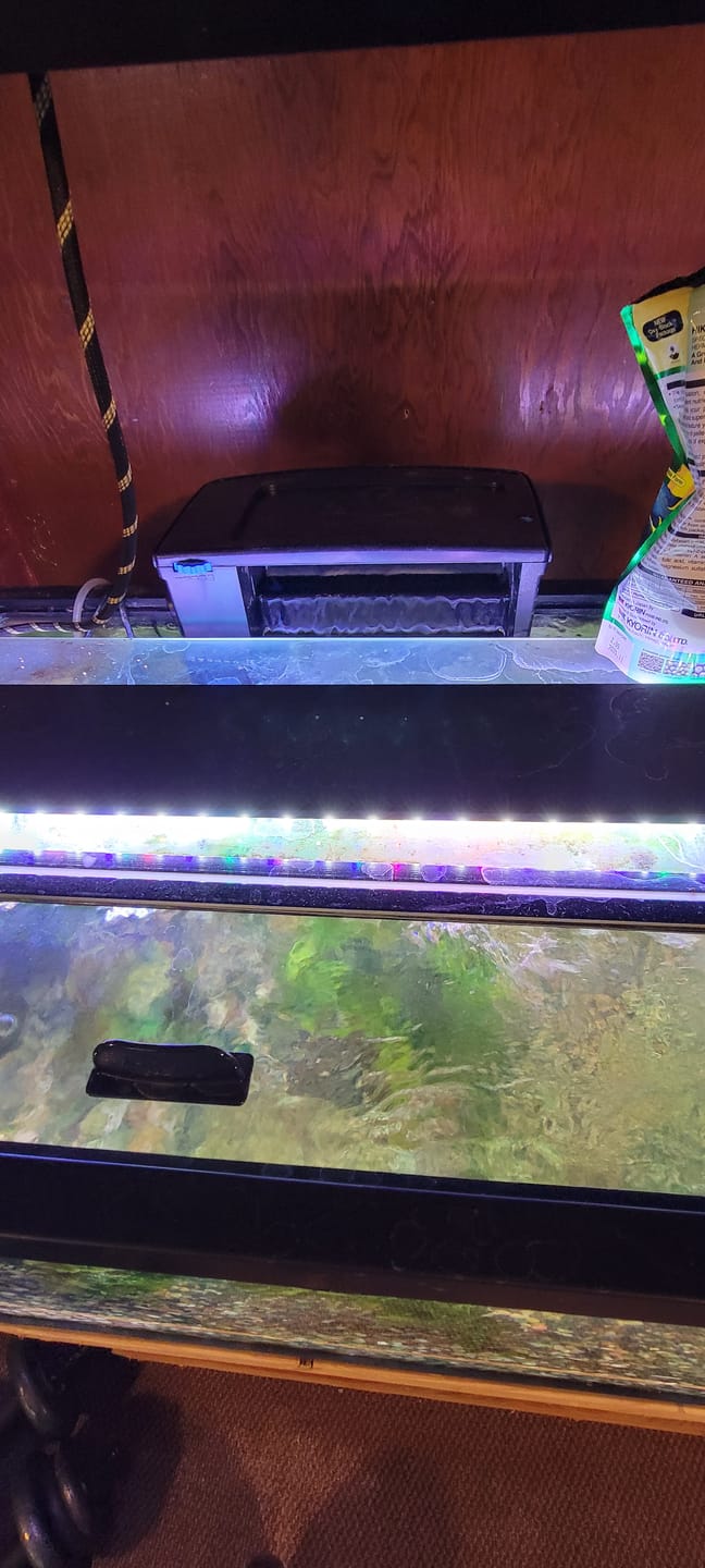 Customer photo review of Tidal Power Filters From Seachem/Sicce