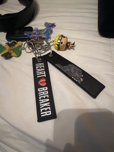 Customer photo review of GOJIRA JET TAG