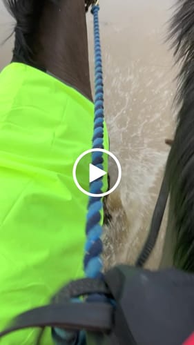 Customer video review of Rhinegold Horsewalker/Lunge Rug