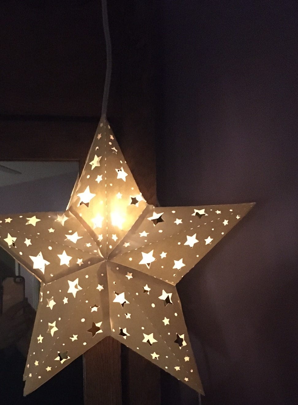 Customer photo review of Star Lantern White Mini Socket Pendant Light Lamp Cord, E12 Base, Switch, 11 Ft - Electrical Swag Light Kit