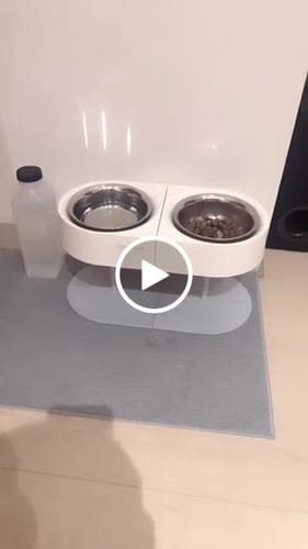 Customer video review of SPUTNIK 斯普尼克 NON-ANTS Bowl 增高防蟻碗架組雙碗