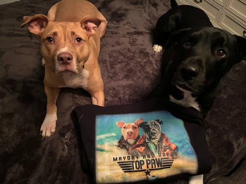 Customer photo review of 'Top Paw' Personalized 2 Pet Hoody