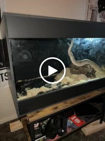 Customer video review of 96"x24"x24" / 8'x2'x2' Premium PVC Reptile Enclosure