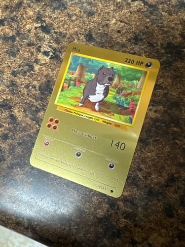 Customer photo review of Pokepet