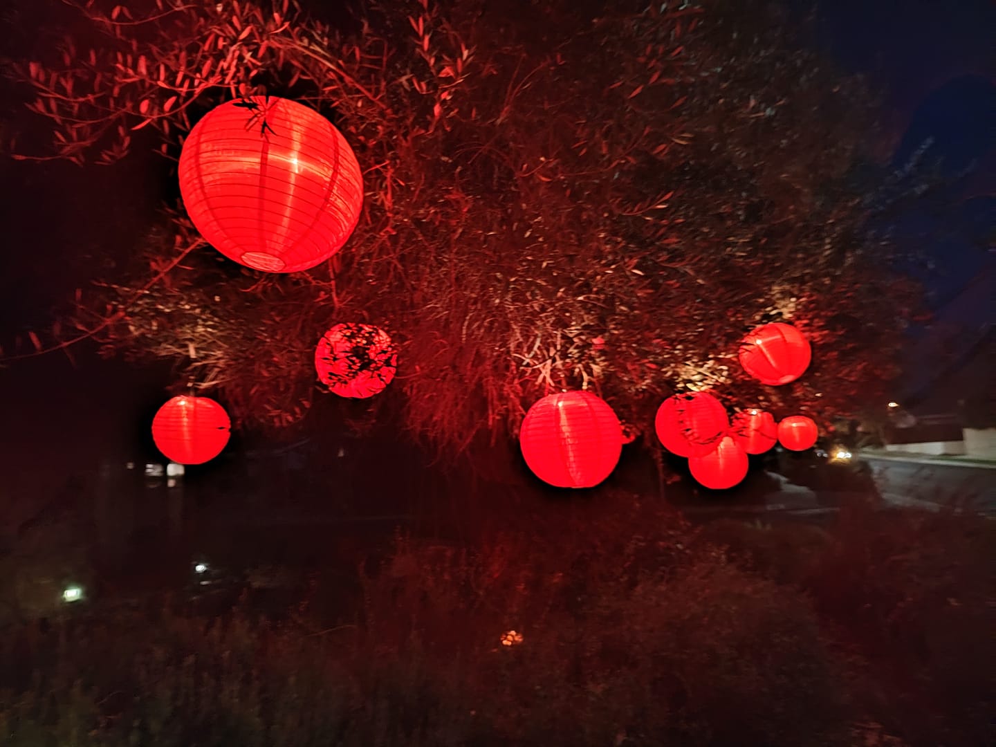 Customer photo review of 16 Inch Red Shimmering Nylon Lantern, Parallel Ribbing, Durable, Hanging