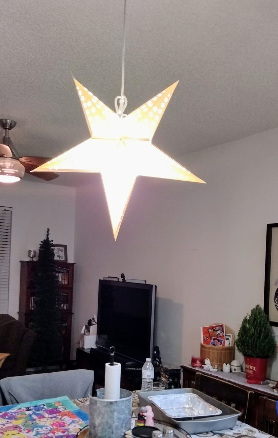 Customer photo review of 24" Solid White Stars Cut-Out Paper Star Lantern, Hanging Wedding & Party Decoration