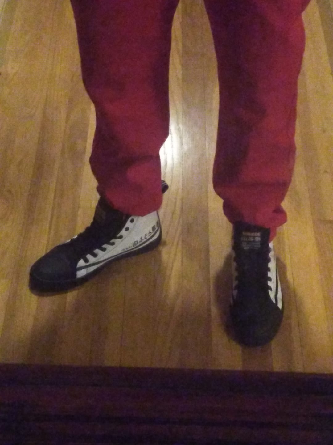Customer photo review of HTXJPN Fuji2 High Top Sneakers
