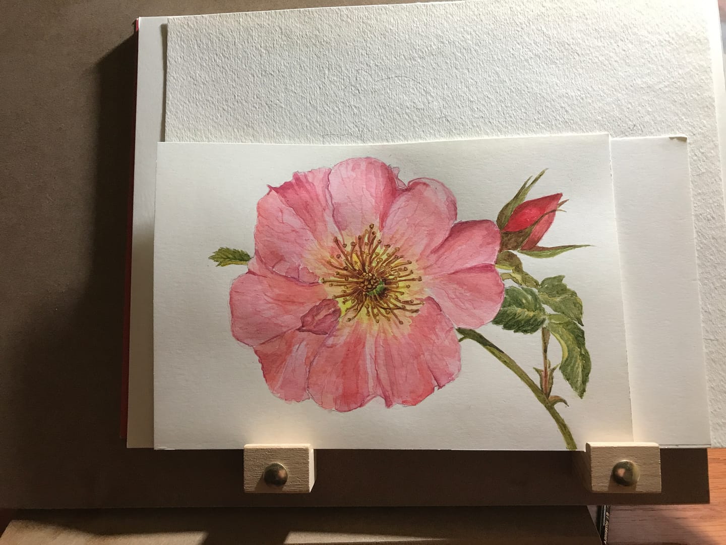 Customer photo review of LUCY mini
