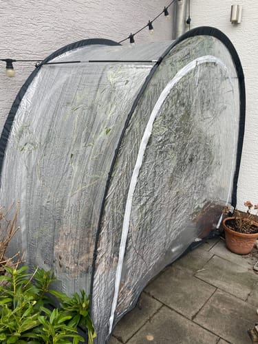 Customer photo review of Überwinterungszelt Arctic für Pflanzen in Anthrazit L 186 x B 84 x H 175 cm