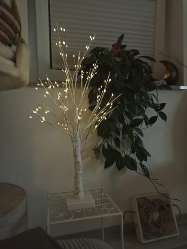 Customer photo review of Bäumlein® - 144 LEDs (Winter Edition)
