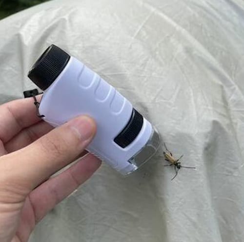 Customer photo review of The PocketScope