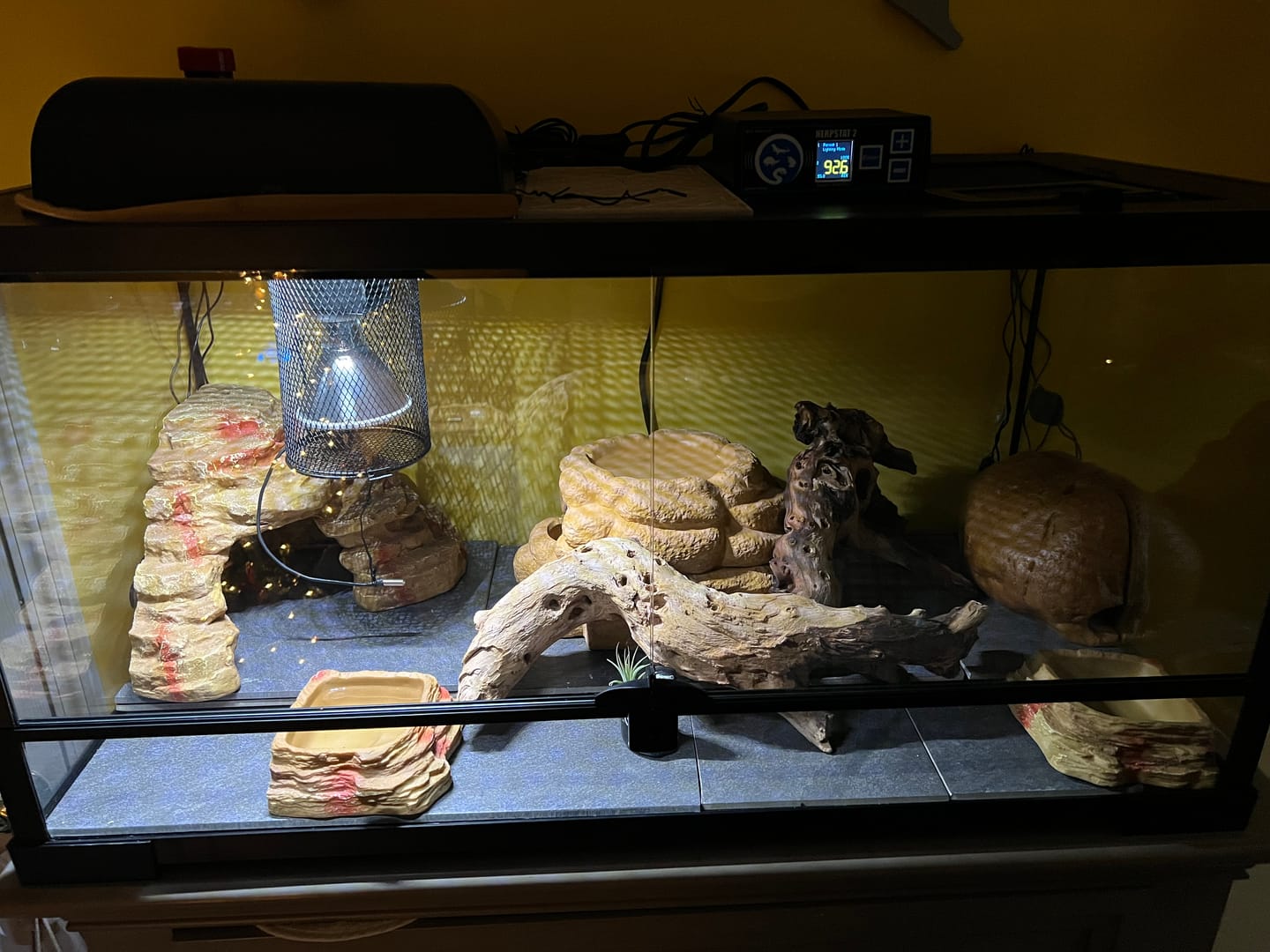 Customer photo review of Herpstat 2 Spyderweb