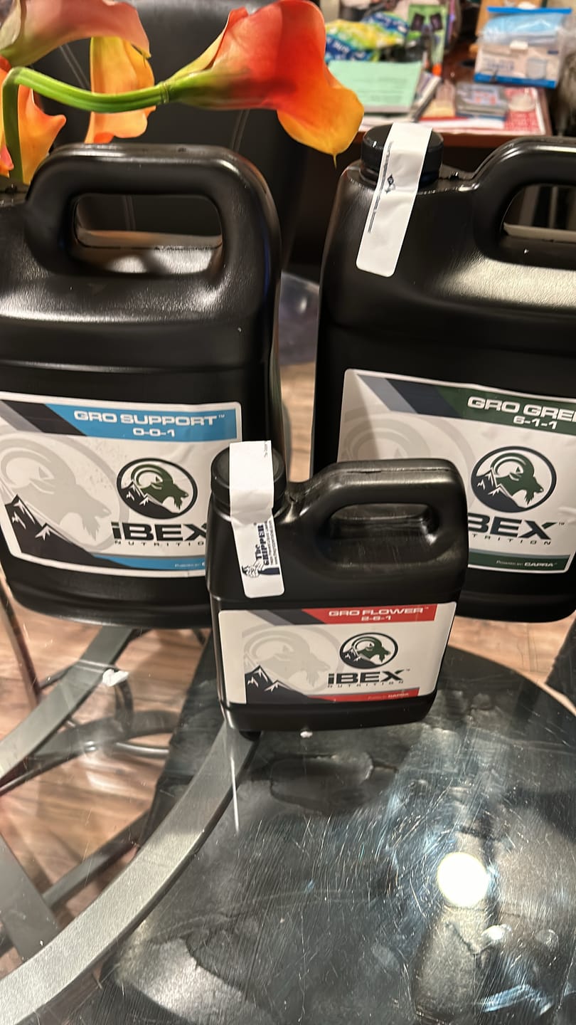 Customer photo review of GRO FLOWER™