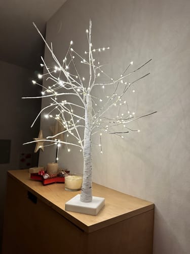 Customer photo review of Bäumlein® - 144 LEDs (Winter Edition)