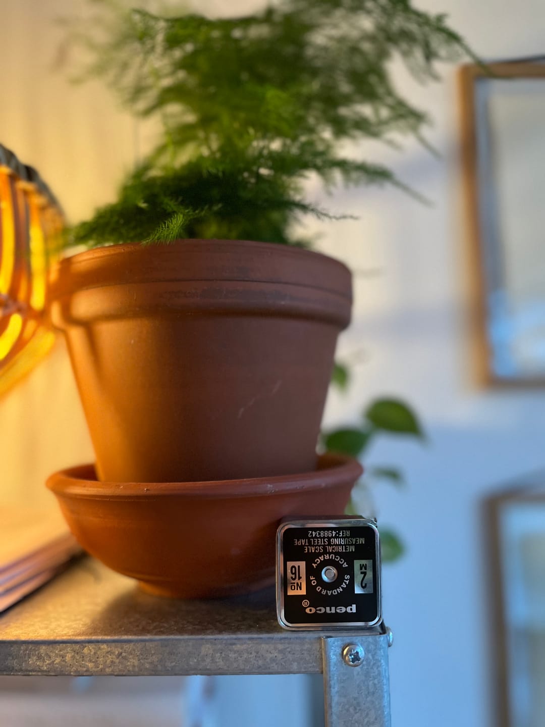 Customer photo review of Hightide Penco Pocket Measure