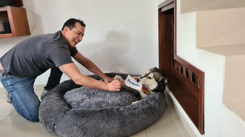Customer photo review of Cama Antiestrés Para Perros