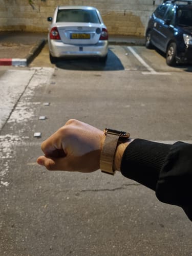 דוד ב