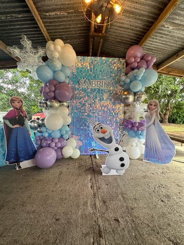 Customer photo review of Rainbow Blue Shimmer Wall Panels – Easy Setup Wedding/Event/Theme Party Decorations