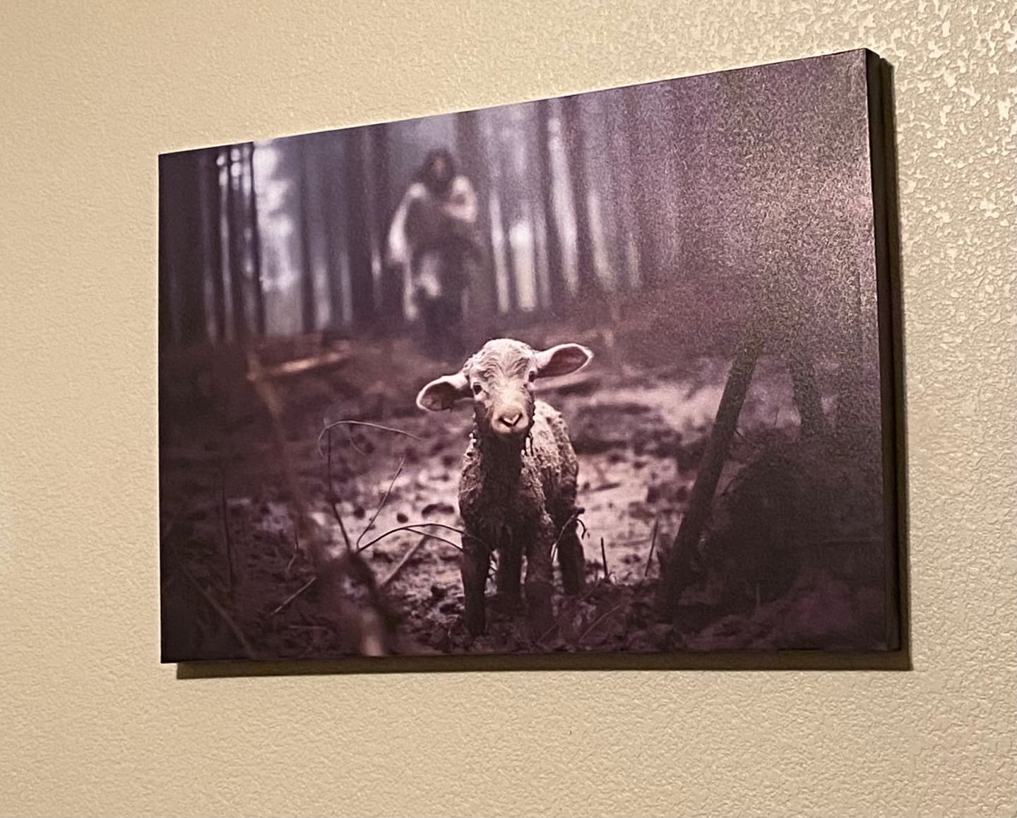 Customer photo review of In His Presence There is Peace, Lion and Lamb, Wall Art Canvas