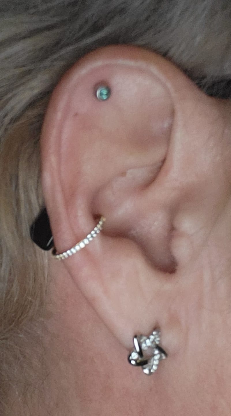 Customer photo review of HI-LIFE Crystal Clicker Piercing