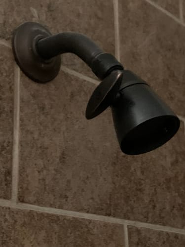 Customer photo review of 2 Inch Shower Head