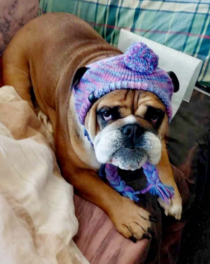 Customer photo review of Knit Matching Human Pom Hats