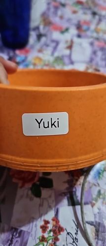 Customer photo review of D110 0.5 Inch Label Printer with Tape - Efficient Labeling On-the-Go