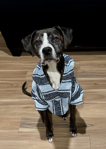 Customer photo review of Playa Poncho - Surprise Color