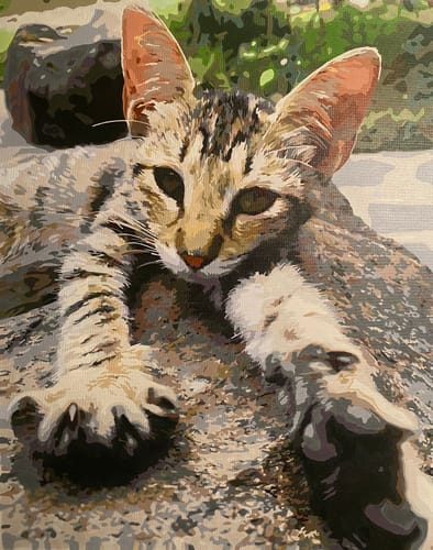 Customer photo review of Malen nach Zahlen - Dein Wunschmotiv