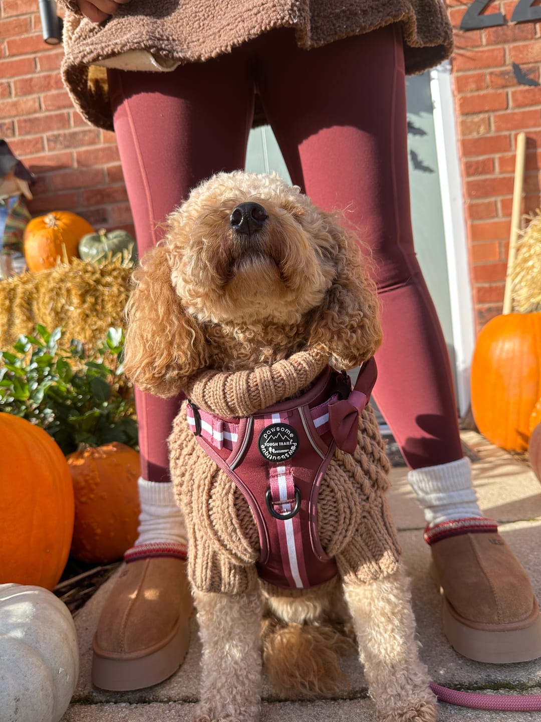 Customer photo review of Walkies Ready Leggings - Mulberry