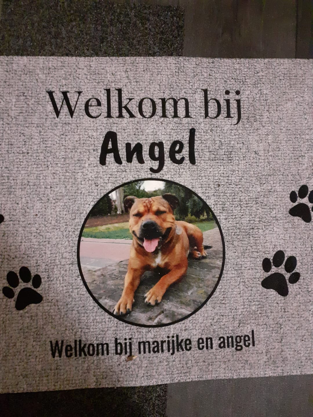 Customer photo review of Eigen foto - Gepersonaliseerde huisdier deurmat