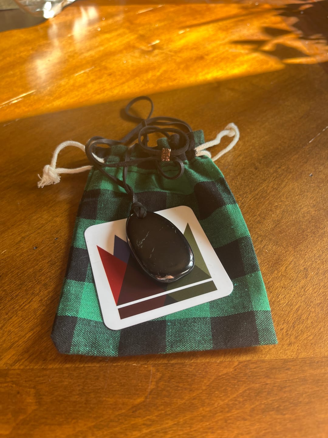 Customer photo review of Shungite Medallion on Adjustable Deerskin Lace