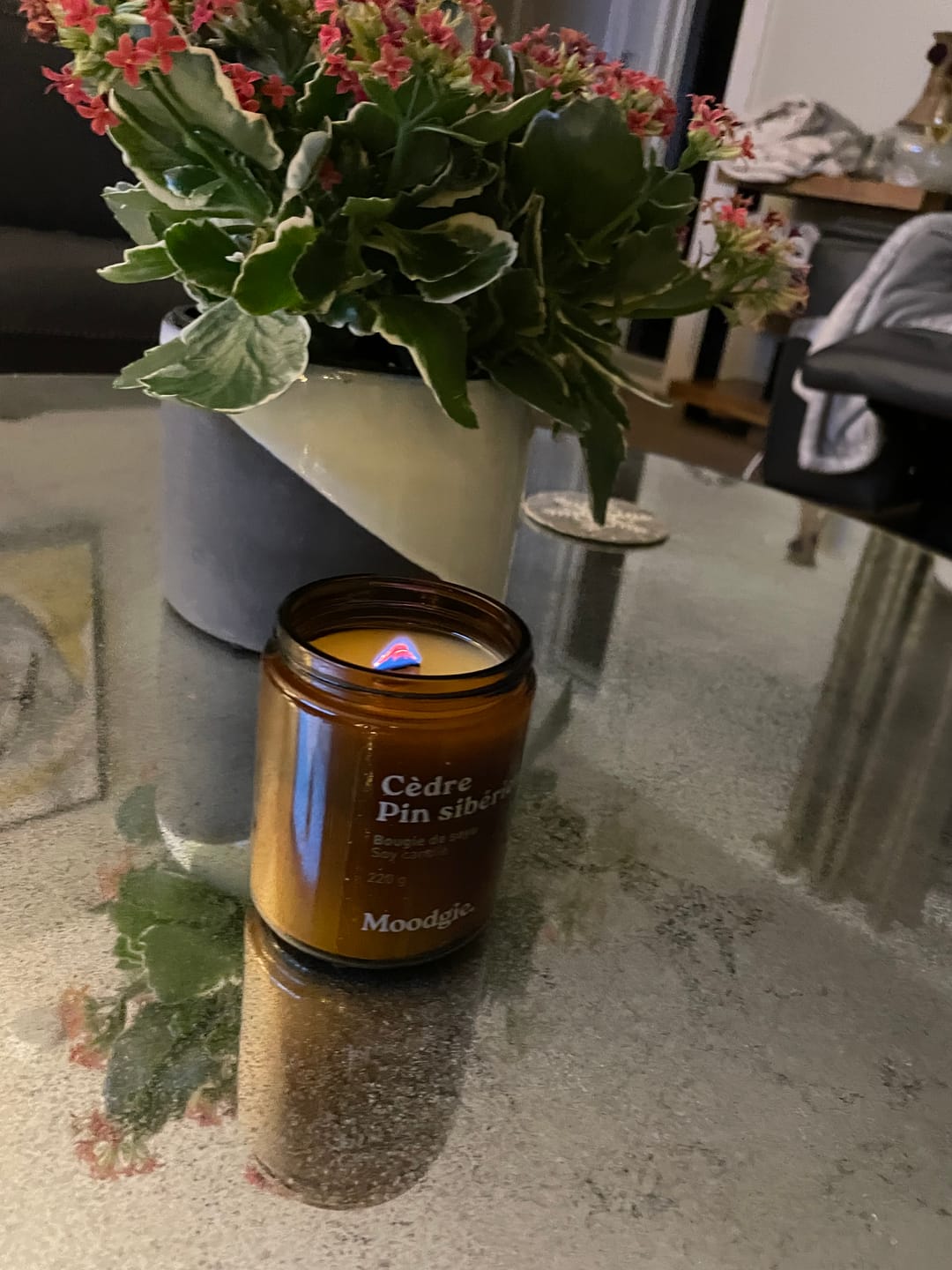 Customer photo review of Cèdre + Pin sibérien