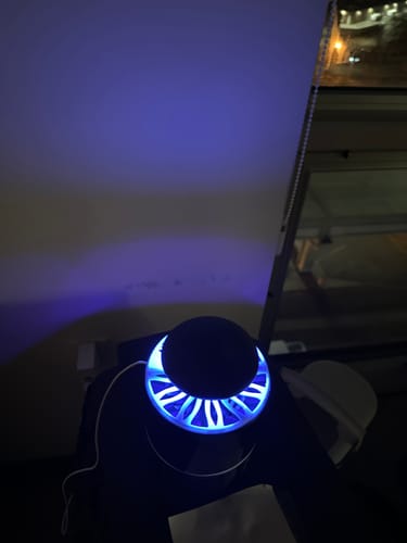 Customer photo review of Flyminator - Fruit Fly Trap