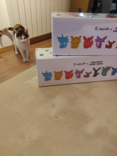 Customer photo review of Carte Pokémon YU NAGABA Évoli Special BOX Neuve et scéllée