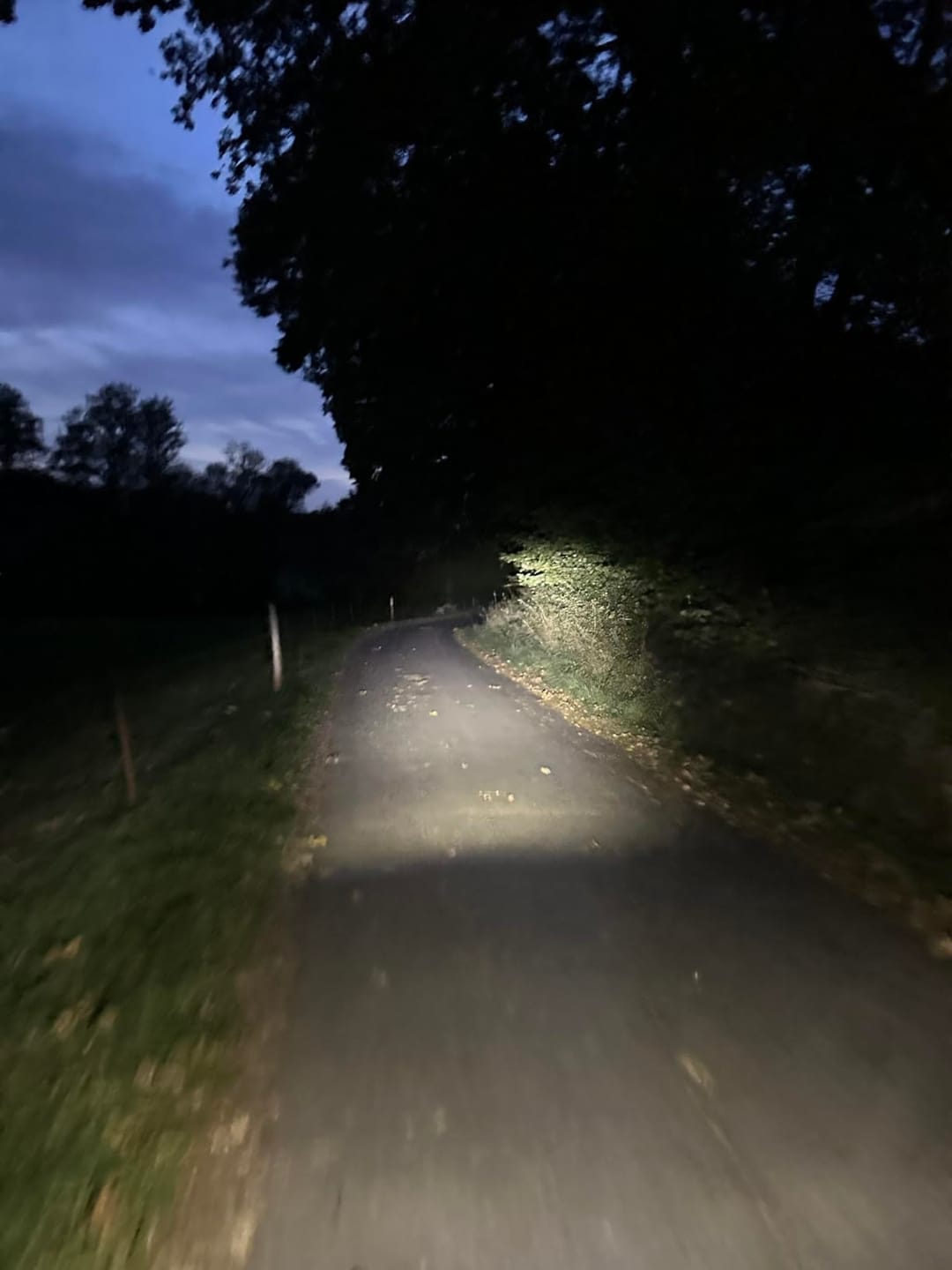 Customer photo review of Fahrradlicht Set LightPro - mit LightSense Sensor