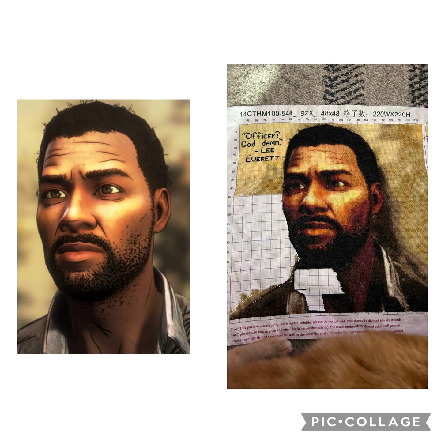 Customer photo review of Custom Cross Stitch Kit