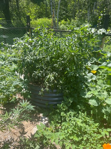 Customer photo review of 17” Tall Large Round