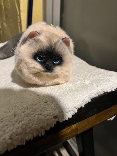 Customer photo review of Fluffy Siamese Cat Bag Cat Purse