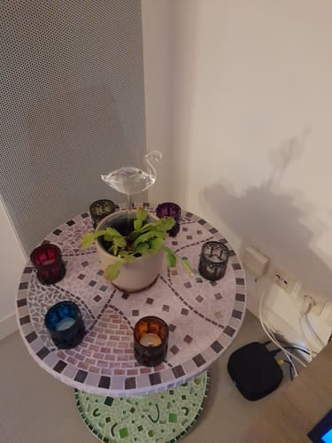 Customer photo review of Mon petit cygne®
