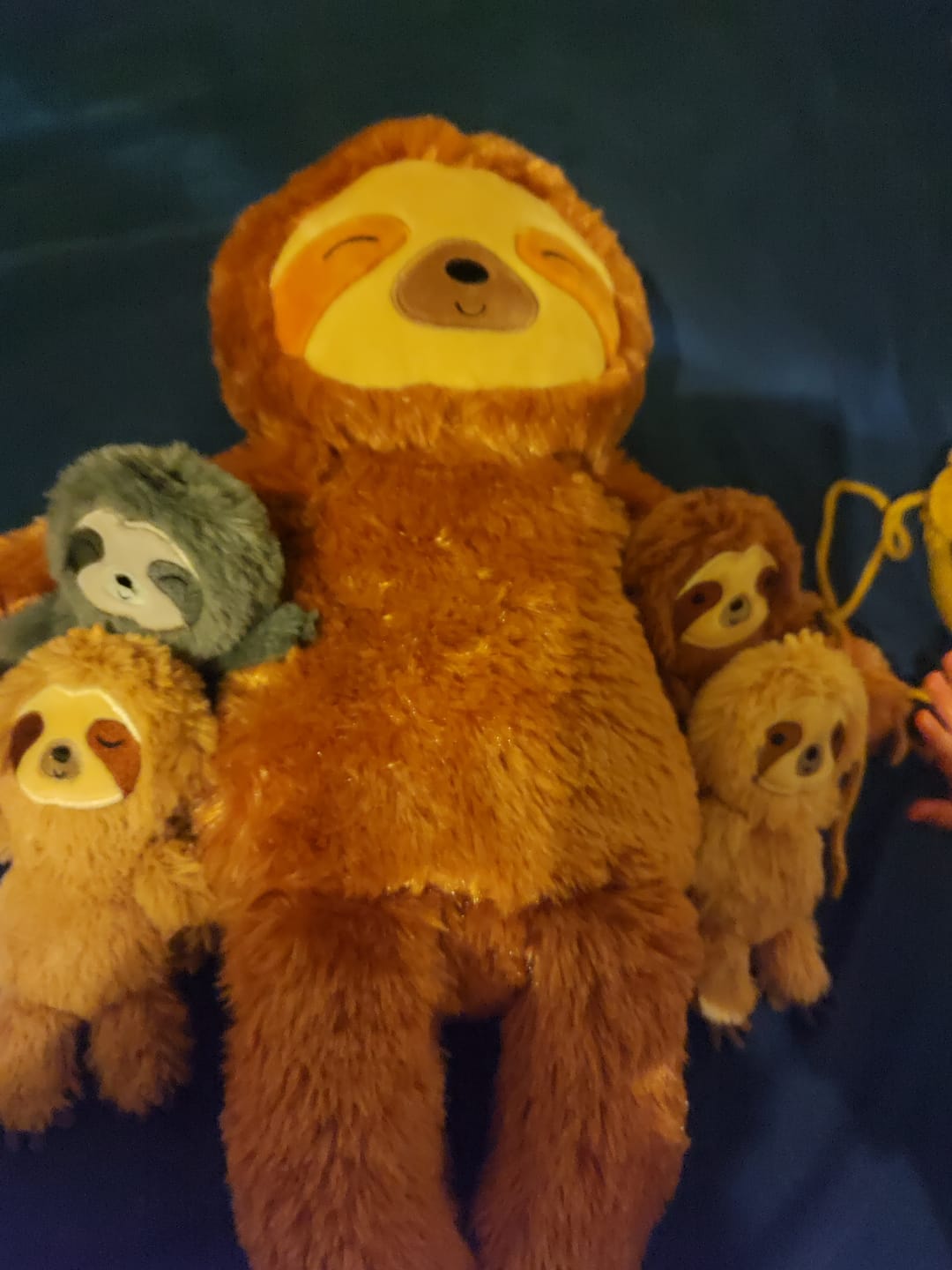 Customer photo review of Le Premier Ensemble de Jeu en Peluche de Famille de Paresseux pour Bébé