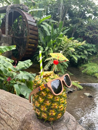 Customer photo review of Hikuri Sol
