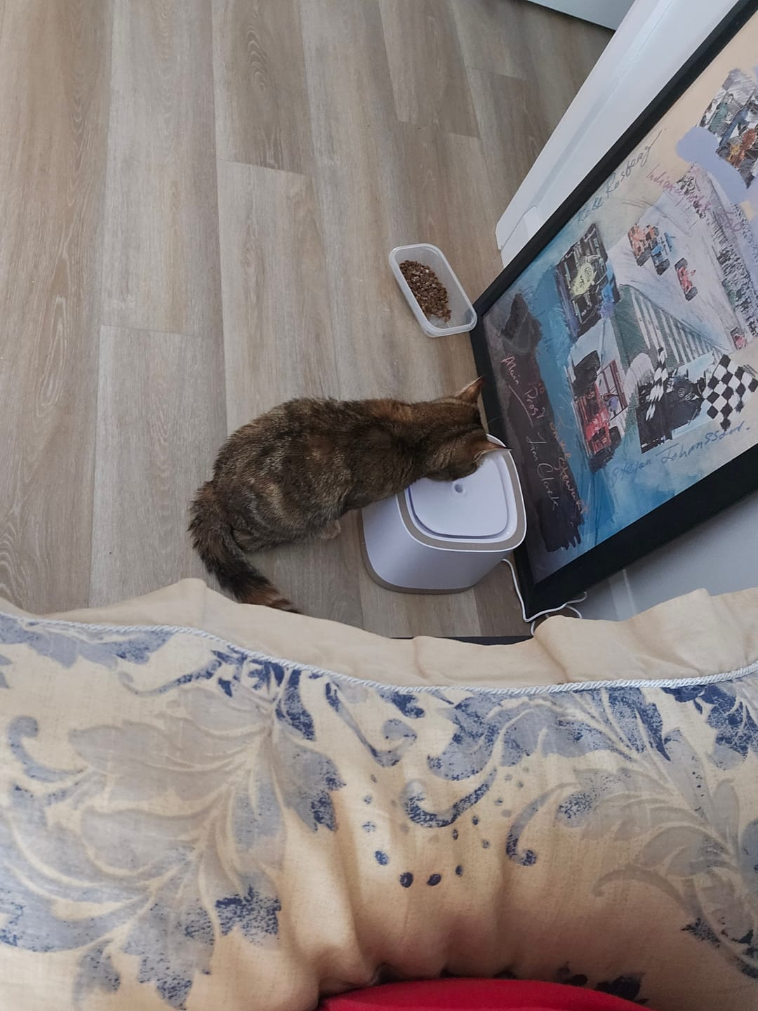 Customer photo review of Pet Water Fountain