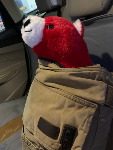 Customer photo review of FATHER CHRISTMAS