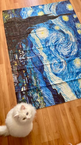 Customer photo review of Van Gogh Starry Night Yıldızlı Geceler Tablosu Duvar Örtüsü