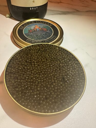 Customer photo review of “Beluga’s Causin” Amur Sturgeon